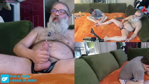 Snapshot of pupnpapa chatting on 23, 5, 2026 Pup And Papa bear online show from 23, 5, 2026