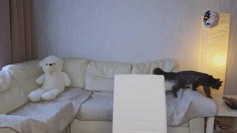 Snapshot of pupsenish chatting on 23, 10, 2025 Jesse online show from 23, 10, 2025