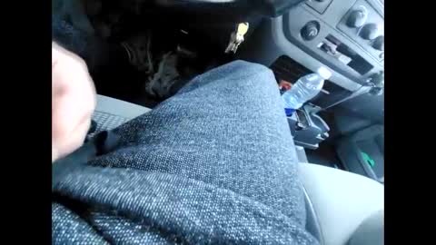 purdyguy7777 online show from 31, 12, 2024