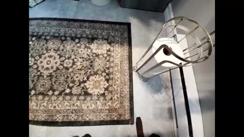 purdyguy7777 online show from 14, 2, 2025