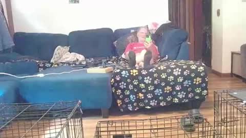 Mark online show from 6, 10, 2025