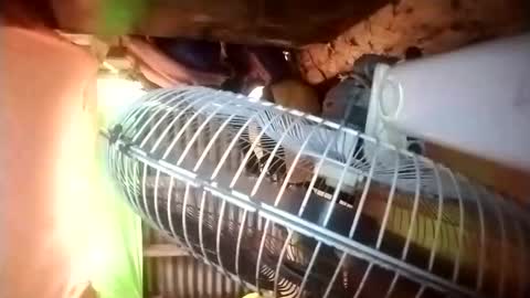 pussywetfantasy69xxx online show from 23, 4, 2026