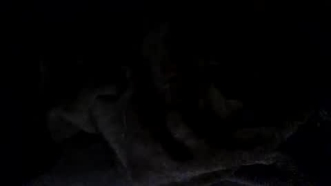 Snapshot of quincy_joy11 chatting on 2, 3, 2026 quincy joy11 online show from 2, 3, 2026