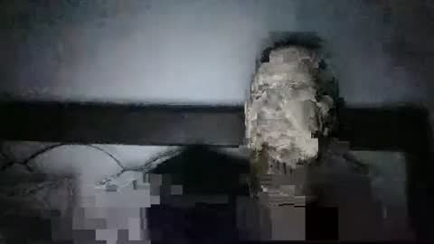 qwezxcqweasdzxc online show from 23, 10, 2025