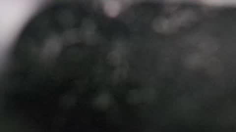 Snapshot of r9dima1998 chatting on 11, 3, 2025 Dmitry online show from 11, 3, 2025