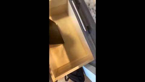 Rainbow Randolf online show from 22, 11, 2025