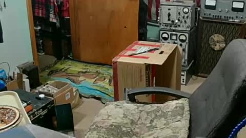 Randall online show from 23, 11, 2025