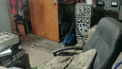Randall online show from 15, 7, 2026