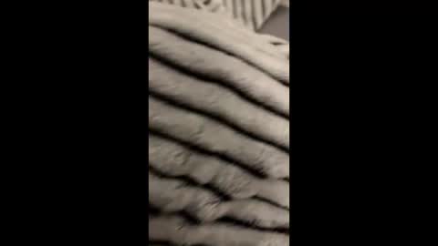 randyjohnson504 online show from 9, 11, 2025