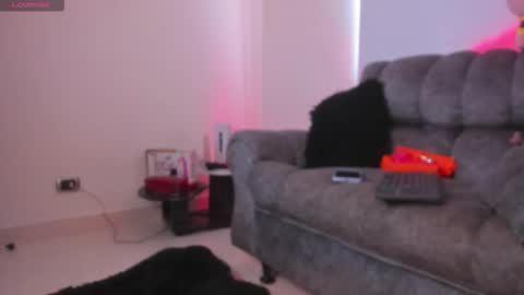   online show from 11, 2, 2026