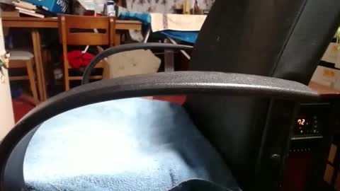 Ray online show from 4, 11, 2025