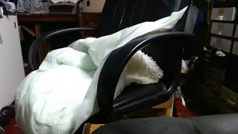 Ray online show from 29, 4, 2026