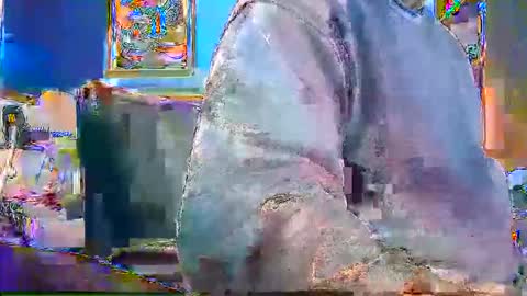 rb69er905364 online show from 28, 12, 2024