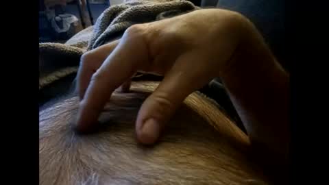 rdt2030 online show from 8, 12, 2024