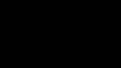 rdt2030 online show from 29, 12, 2024