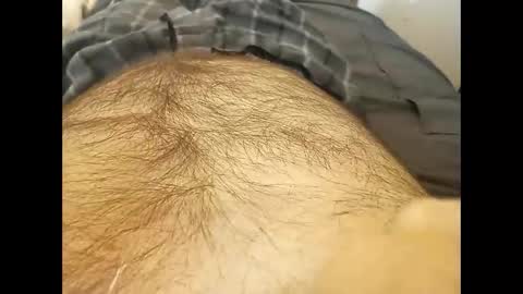 rdt2030 online show from 31, 10, 2025