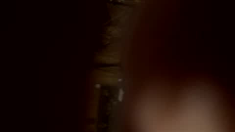 readyforu81 online show from 4, 2, 2026