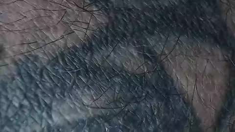 realrubpirate online show from 18, 3, 2026