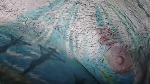 realrubpirate online show from 3, 5, 2026