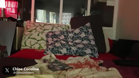 redchloey online show from 8, 5, 2026