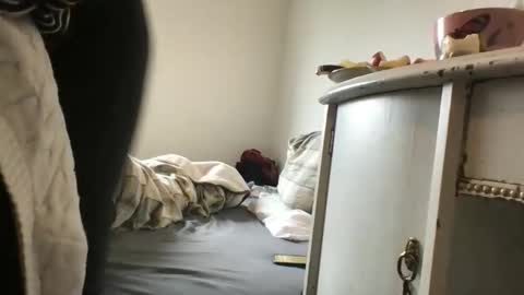 Redfox online show from 15, 3, 2026