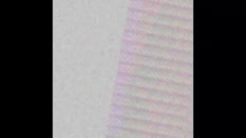 Snapshot of reelfreaky chatting on 2, 11, 2025 shy online show from 2, 11, 2025