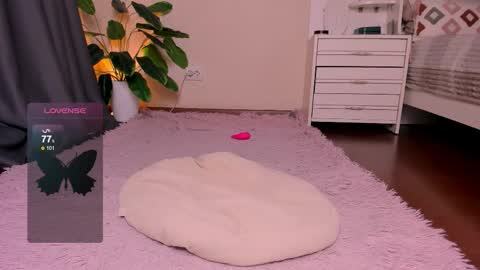 Rein online show from 28, 11, 2025