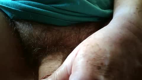 Always crusing cams online show from 20, 9, 2025