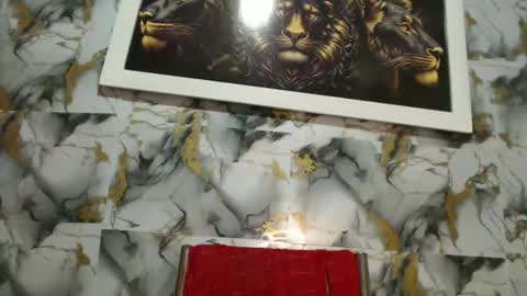 rigel online show from 24, 2, 2026