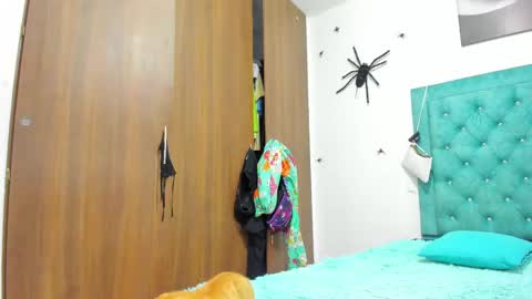 Rihanna hotx online show from 20, 11, 2025