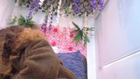 Risitos De Oro online show from 20, 4, 2026