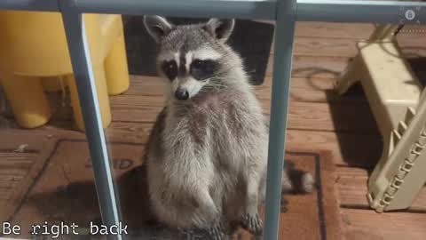 Ryan aka KeylimeRy online show from 28, 2, 2025