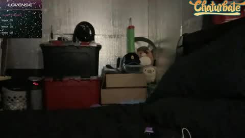 Snapshot of robertcicijr21 chatting on 13, 12, 2024 Robert Cici Jr. online show from 13, 12, 2024