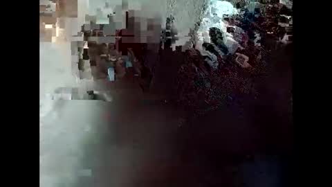 R online show from 30, 4, 2026