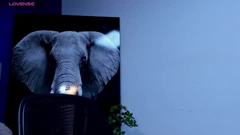 rocco_santos online show from 23, 9, 2025