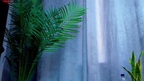 rocco_santos online show from 4, 8, 2026