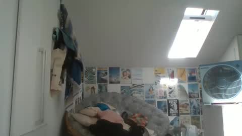 Snapshot of rodofra chatting on 13, 3, 2026 rodofra online show from 13, 3, 2026