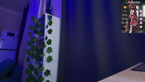 Jane online show from 10, 1, 2025