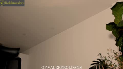 Valery Roldans online show from 22, 12, 2024