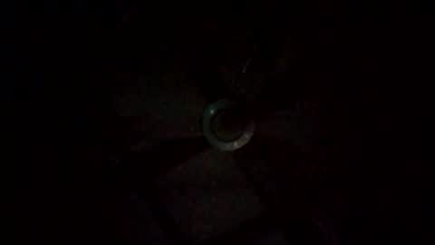 rompeculos121 online show from 9, 3, 2025