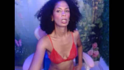 rosa online show from 30, 4, 2026