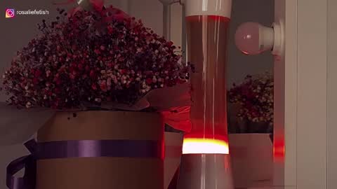 Rosalie online show from 25, 9, 2025