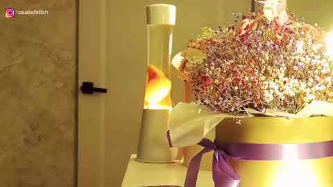 Rosalie online show from 16, 11, 2025