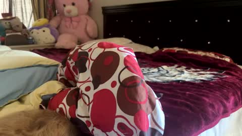 Snapshot of rose69904260 chatting on 30, 7, 2026 Rose and Jacks Pay Room online show from 30, 7, 2026