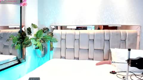 Rose online show from 21, 9, 2025