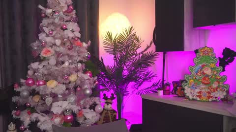 Amii online show from 25, 12, 2024