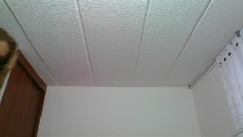 Snapshot of rossanalionheart chatting on 30, 12, 2024 Rossana  online show from 30, 12, 2024