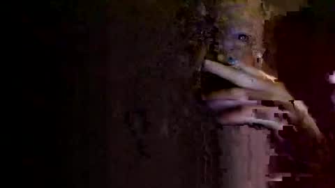 rotorranch online show from 2, 10, 2025