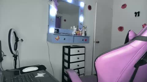 Snapshot of roxy_lu_07 chatting on 24, 5, 2026 Roxy online show from 24, 5, 2026