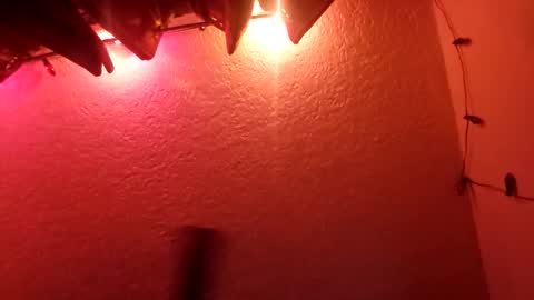 rudy11448 online show from 19, 10, 2025